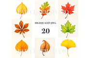 Autumn Leaf Clipart Bundle, a Decorative Illustration by Pati Charm Studio (Thumbnail 2 of 8)