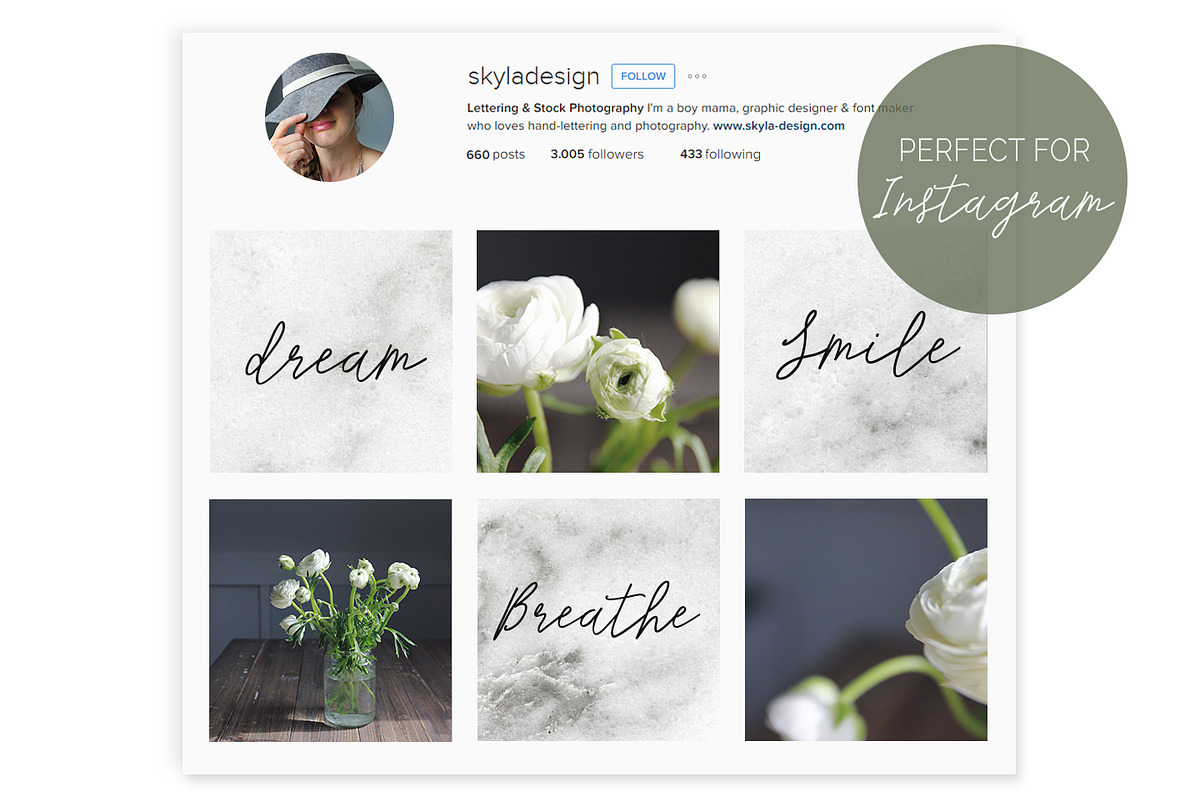 Stock photos, Moody white flower, a Print Template by Angele Kamp (Photo 2 of 6)