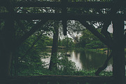 Nature Photo Pack, a Nature Photo by baker2512 (Thumbnail 15 of 20)