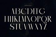 Recheng, a Serif Font by zaaintype (Thumbnail 8 of 12)