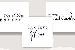 Live Love Meow Quotes (15 Images)