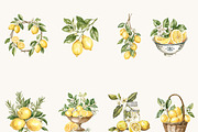 Watercolor Lemon Clipart Bundle, an Object Illustration by BusyDaydesign (Thumbnail 2 of 9)