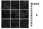 Topographic maps 2, a Texture Graphic by Lina_Lisichka (Thumbnail 2 of 9)