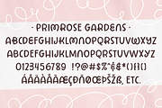 Primrose Gardens a lovely loopy font, a Handwritten Font by Rachel White Art (Thumbnail 3 of 22)