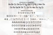 Handsome | Script Font, a Script Font by Scratchones (Thumbnail 7 of 8)