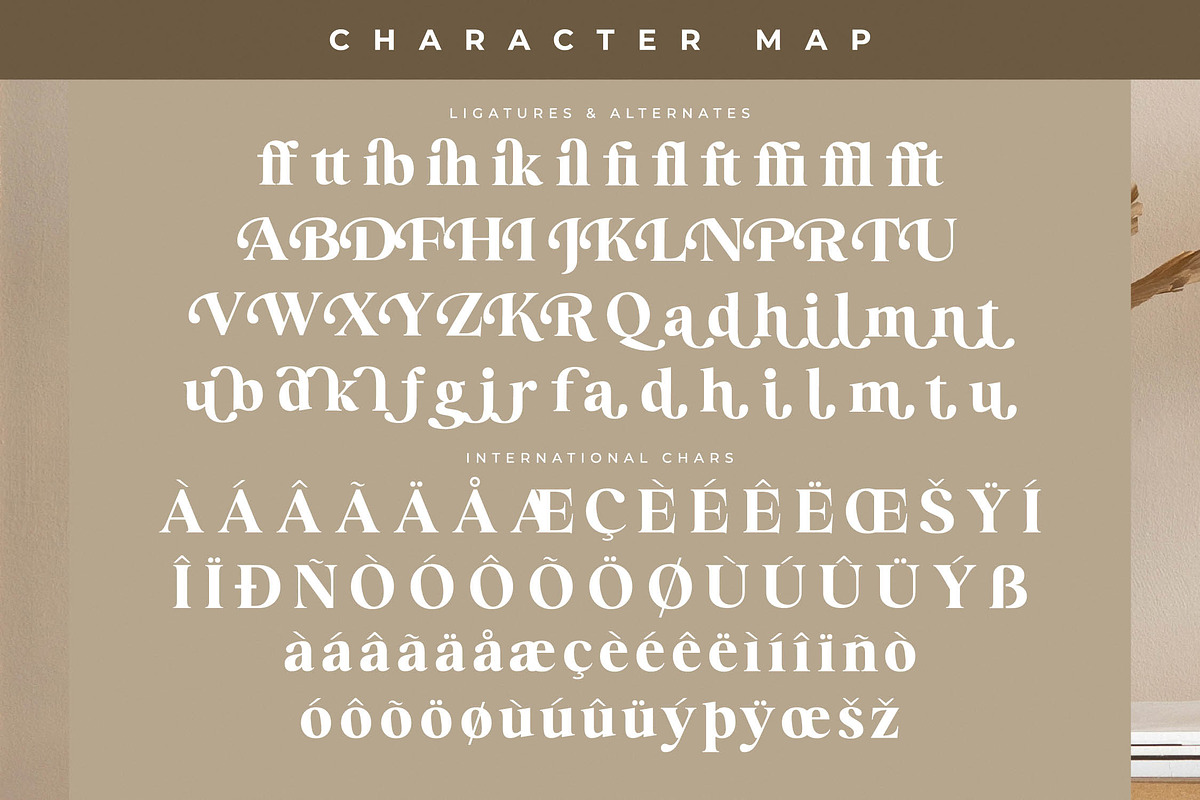 Brilyan Rogale Modern Vintage Serif, a Serif Font by Letterena Studios (Photo 14 of 15)