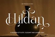 Hildan Modern Ligature Serif, a Serif Font by Alfinart (Thumbnail 1 of 10)