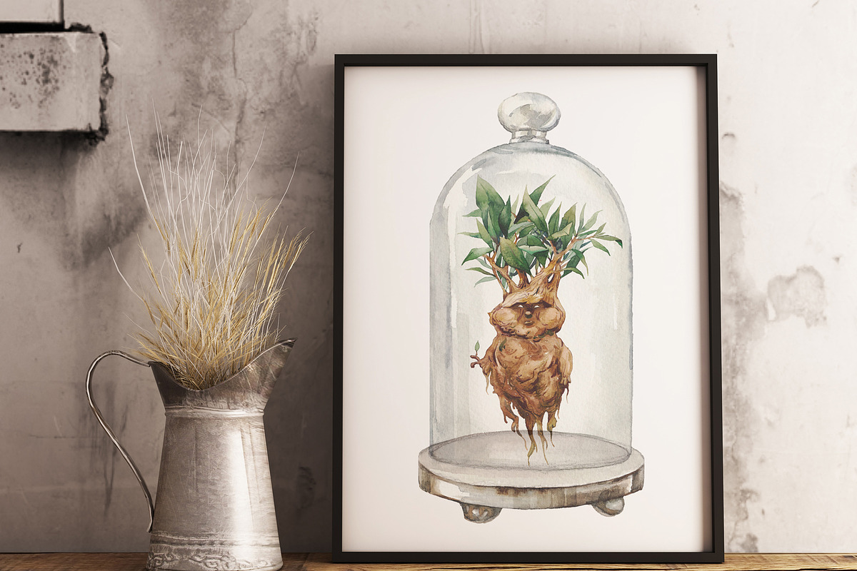 Magic Mandrake, an Illustration by Eisfrei (Photo 8 of 8)
