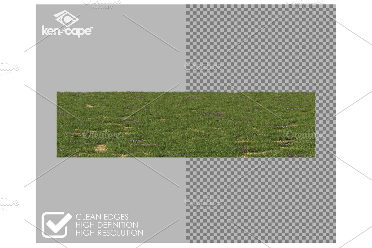 20 Grass Lawn Background, a Nature Photo by KenScape (Photo 2 of 3)