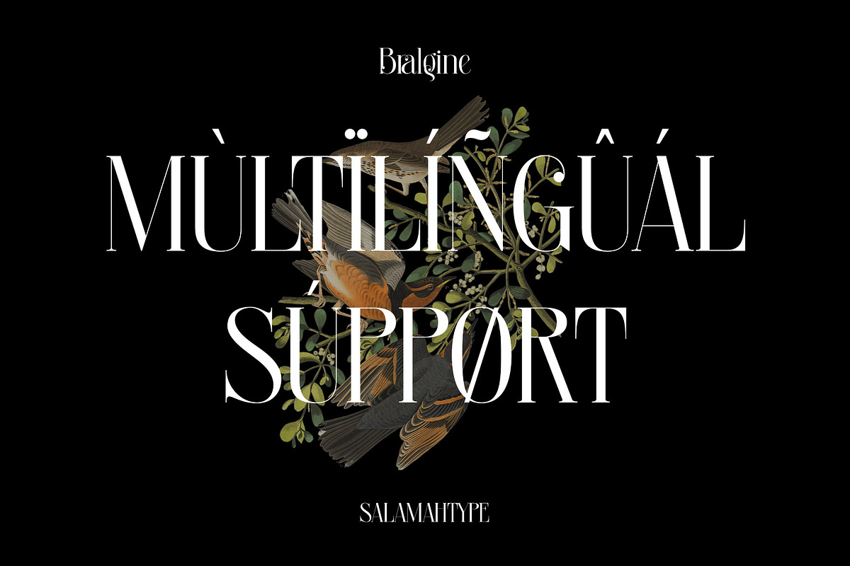 Bralgine A Modern Ligature Serif, a Serif Font by Alfinart (Photo 7 of 10)