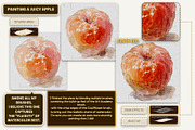 Authentic WATERCOLOR BRUSHES by Seo, a Brushes & More by Illustration by Seo (Thumbnail 7 of 33)