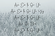 Sung-Jin font, a Script Font by TNE Designs (Thumbnail 5 of 5)