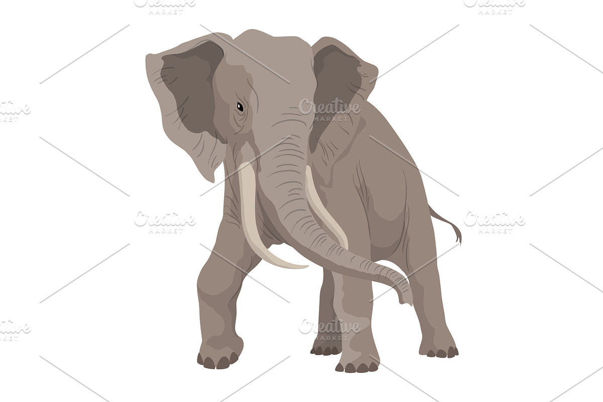Flat vector elephant in poses, an Animal Illustration by the8monkey