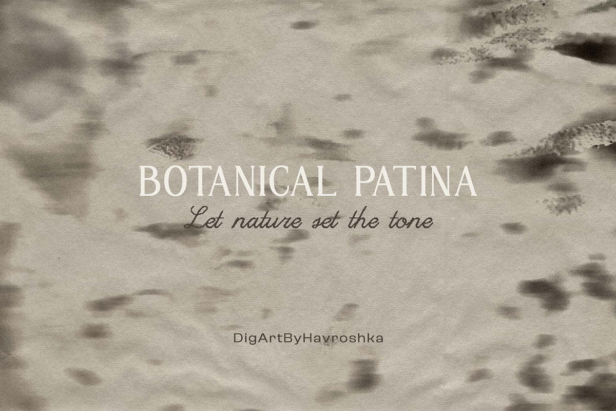 Botanical Patina Backgrounds, a Background Graphic by DigARTbyHavroshka (Photo 12 of 12)