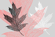 88 Skeleton Leaves PNG, an Object Graphic by Alexandra Fulger (Thumbnail 6 of 6)