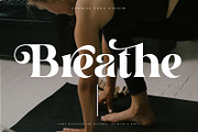 Silent Garden, a Serif Font by Prestige Artsy Studio (Thumbnail 3 of 10)