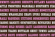 WILD AND WESTERN Font Bundle, a Handwritten Font by Blush Font Co. (Thumbnail 6 of 9)