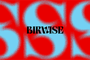Birvase Display Font, a Serif Font by Bagerich Type Foundry (Thumbnail 3 of 12)