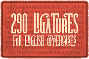 Rodeo Night Vintage Label Font, a Serif Font by JumboDesign (Thumbnail 5 of 5)