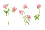Vector object brushes. Clover, a Brush Add-On by Peolla (Thumbnail 6 of 14)
