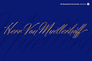 Herr VonMuellerhoff Pro, a Script Font by Sudtipos