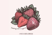 Feeling Berry Good PNG, Strawberry, an Illustration by SharpMarketplace (Thumbnail 1 of 9)