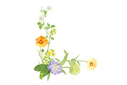 Vector object brushes. Primula., a Brush Add-On by Peolla (Thumbnail 17 of 17)