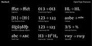 Marbach, a Serif Font by Hoftype (Thumbnail 15 of 15)