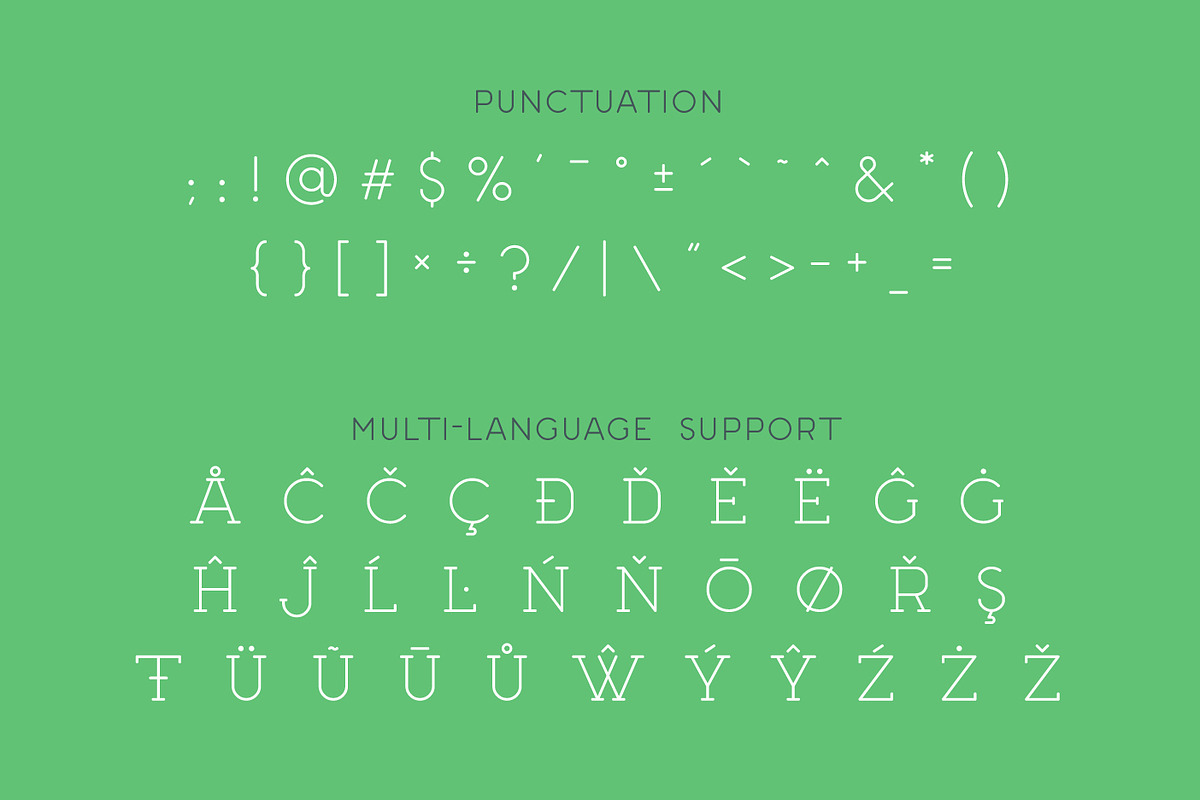Renown Monoline Font Duo preview 7