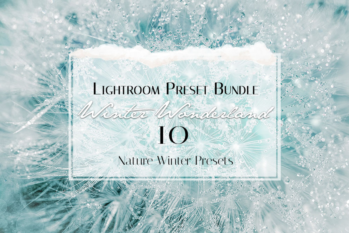 Winter Wonderland Lightroom Preset, a Plug-in Add-On by Jana Mänz Photography (Photo 7 of 8)