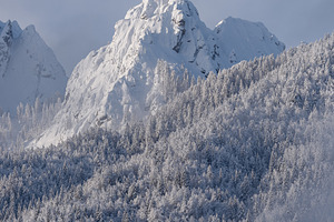 Winter morning in the forest and mountains