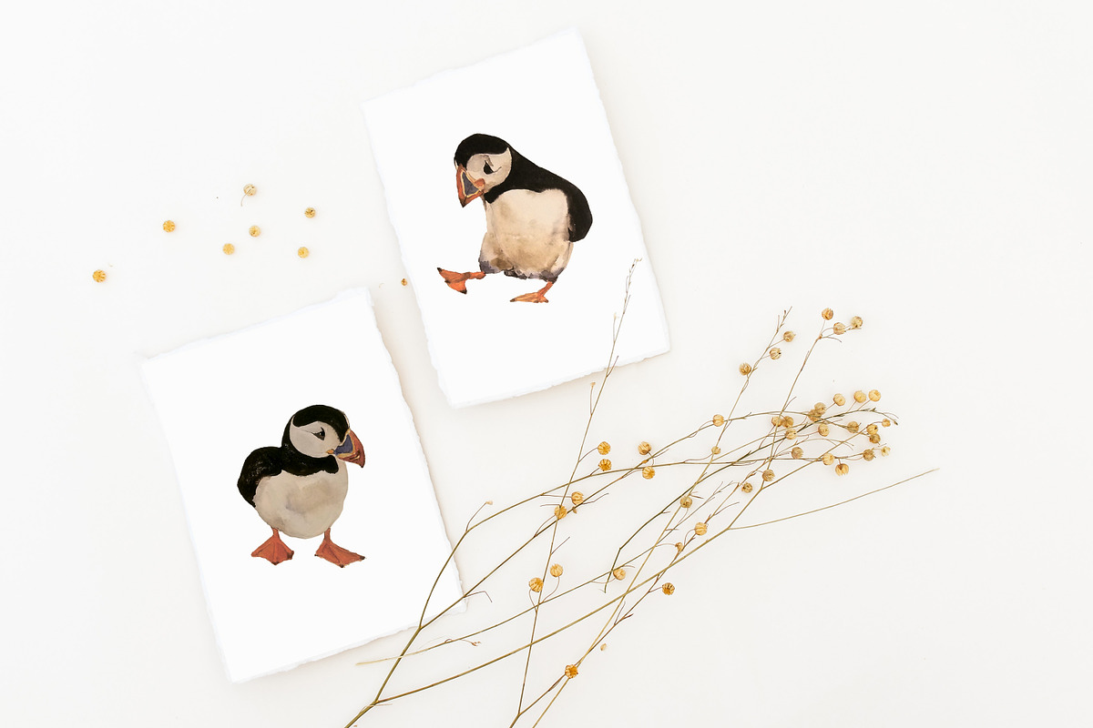 Cute penguins chicks watercolor set., an Animal Illustration by Bychovsky design (Photo 4 of 9)