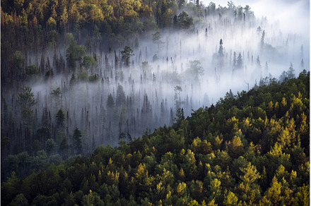 Fog in the mountain at dawn, a Nature Photo by mlinnikov