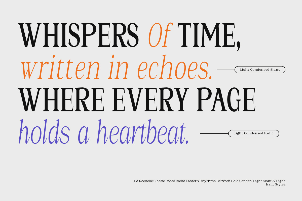 La Rochelle | Serif Family-83 Style, a Serif Font by Black Studio (Photo 2 of 15)