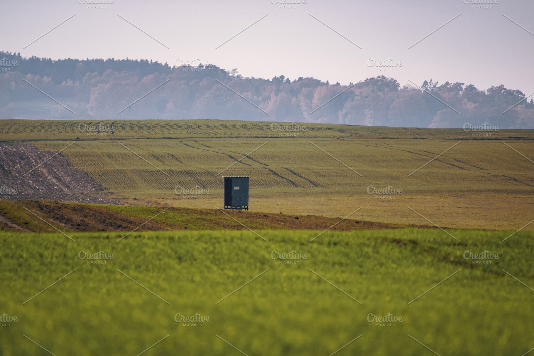 Hunting Stand #2, a Nature Photo by jakub_kopecky