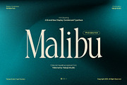 TBJ Malibu Condensed Display Font, a Serif Font by Taboja Studio (Thumbnail 1 of 22)