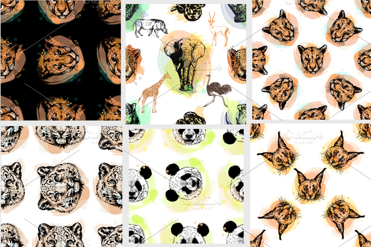 Animal Faces, an Animal Illustration by Ecaterina Sciuchina (Photo 5 of 7)