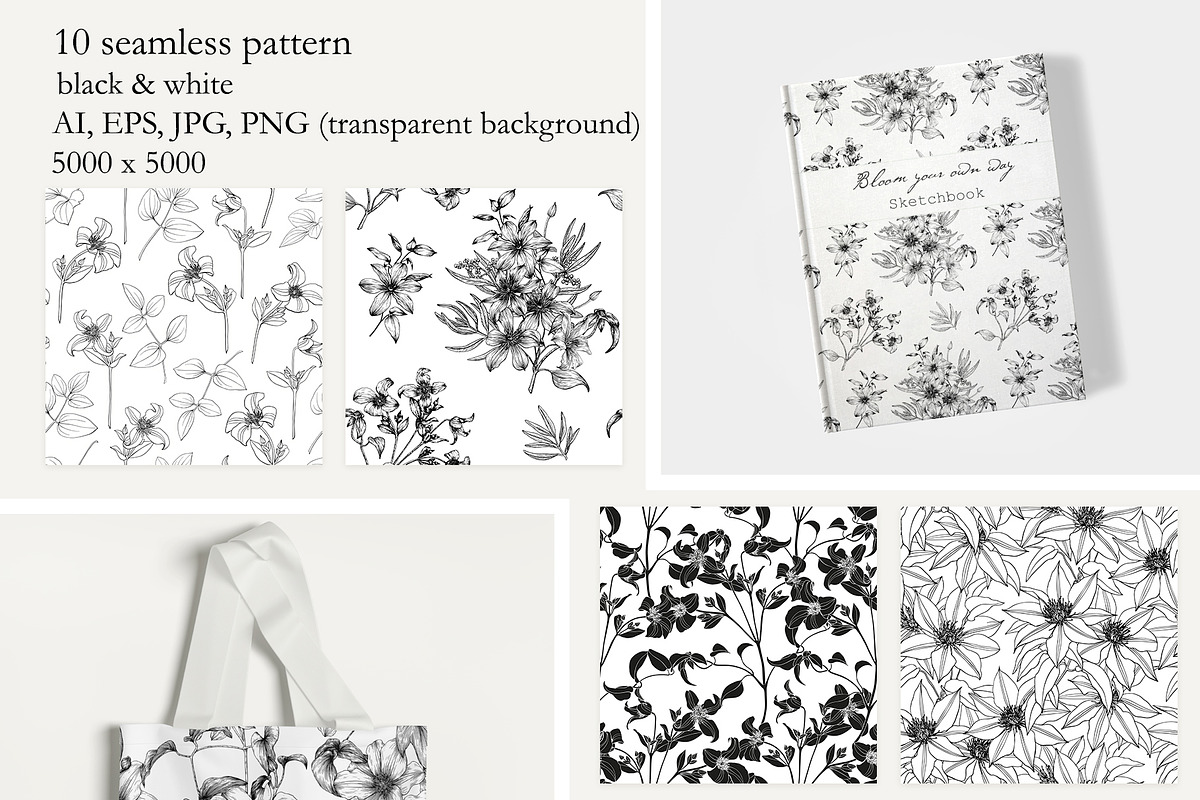 Flowers of Clematis. Botanical Set, a Decorative Illustration by ON_lineart_store (Photo 9 of 10)