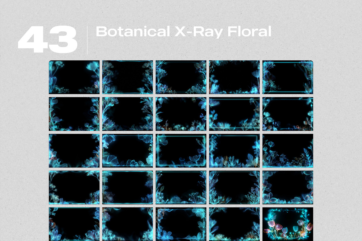 Botanical X-Ray Floral Overlays, a Texture Graphic by PhotoSpirit (Photo 8 of 8)