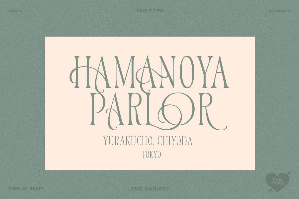 TAN - Variety, a Serif Font by TanType (Photo 13 of 26)