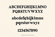 FRENCH GALLERY - vintage soft serif, a Serif Font by Misha Sova (Thumbnail 10 of 11)