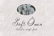Soft Omen: Delicate Script Font, a Script Font by Mneme (Thumbnail 9 of 9)