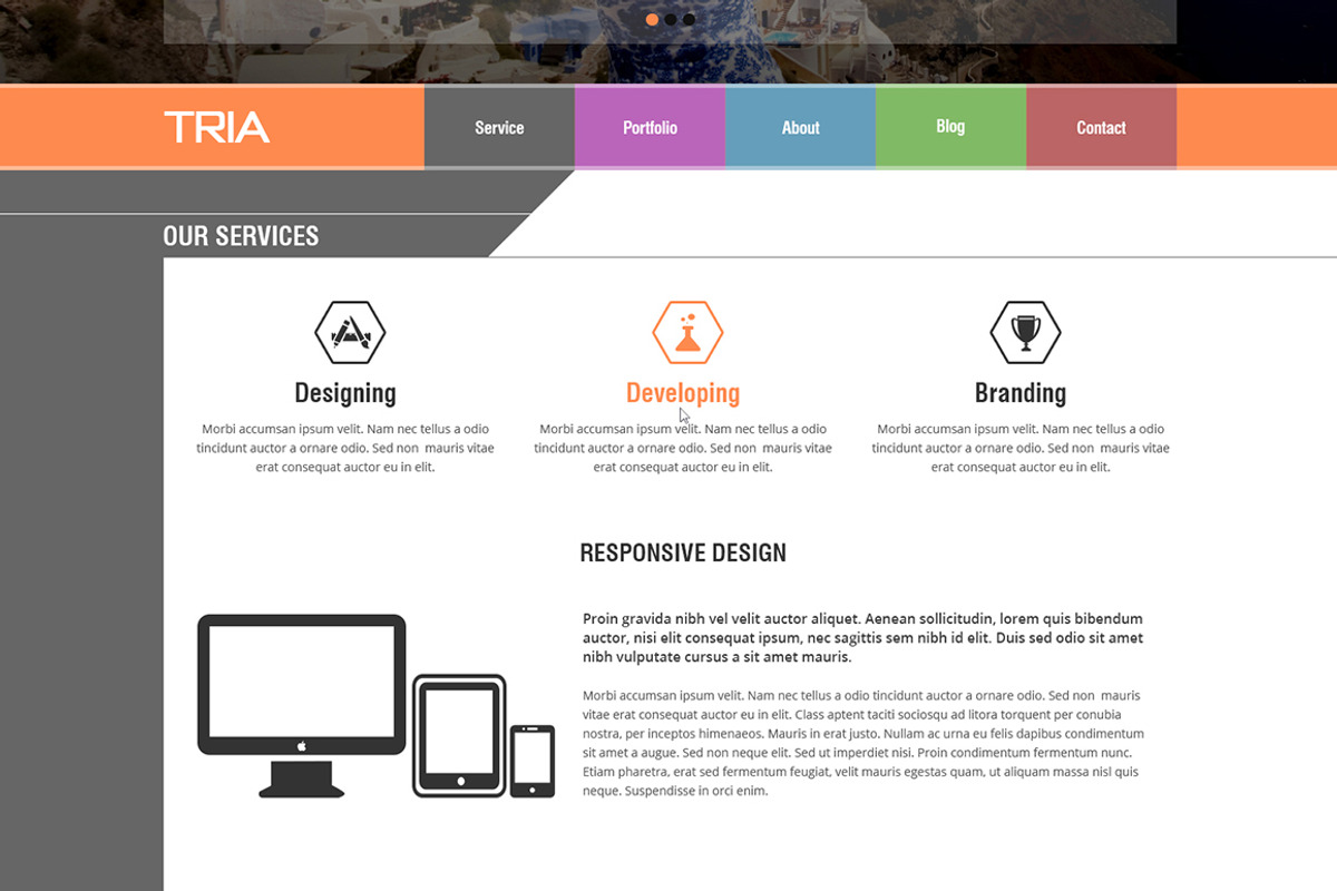 TRIA - Single Page PSD Theme, a Websites & App Template by Metrothemes (Photo 3 of 5)