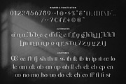 Odena Glamour - Modern Serif, a Serif Font by Salamahtype (Thumbnail 7 of 10)