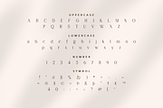 Solstikba - Modern Display Serif, a Serif Font by Artchitype Studio (Thumbnail 12 of 14)