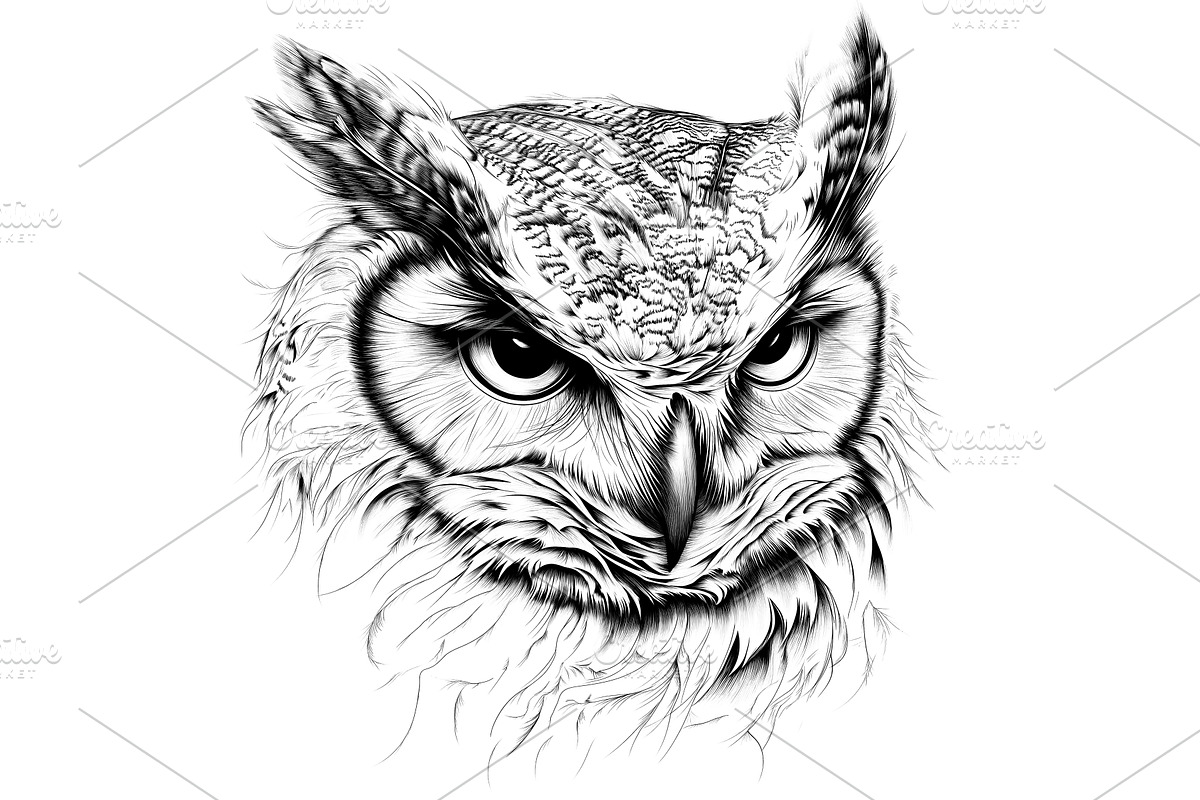 Elegant Owl Tattoo Sketch, an Animal Illustration by BazziBa♥