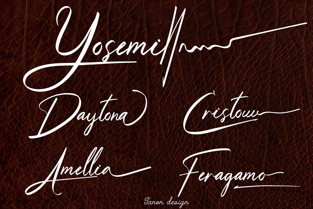 Mine Signature handwritten Font, a Handwritten Font by Tanondesign (Photo 3 of 6)