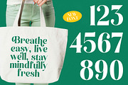 Kinsley Angels Modern Alternatate, a Serif Font by timelesstype.co (Thumbnail 15 of 20)