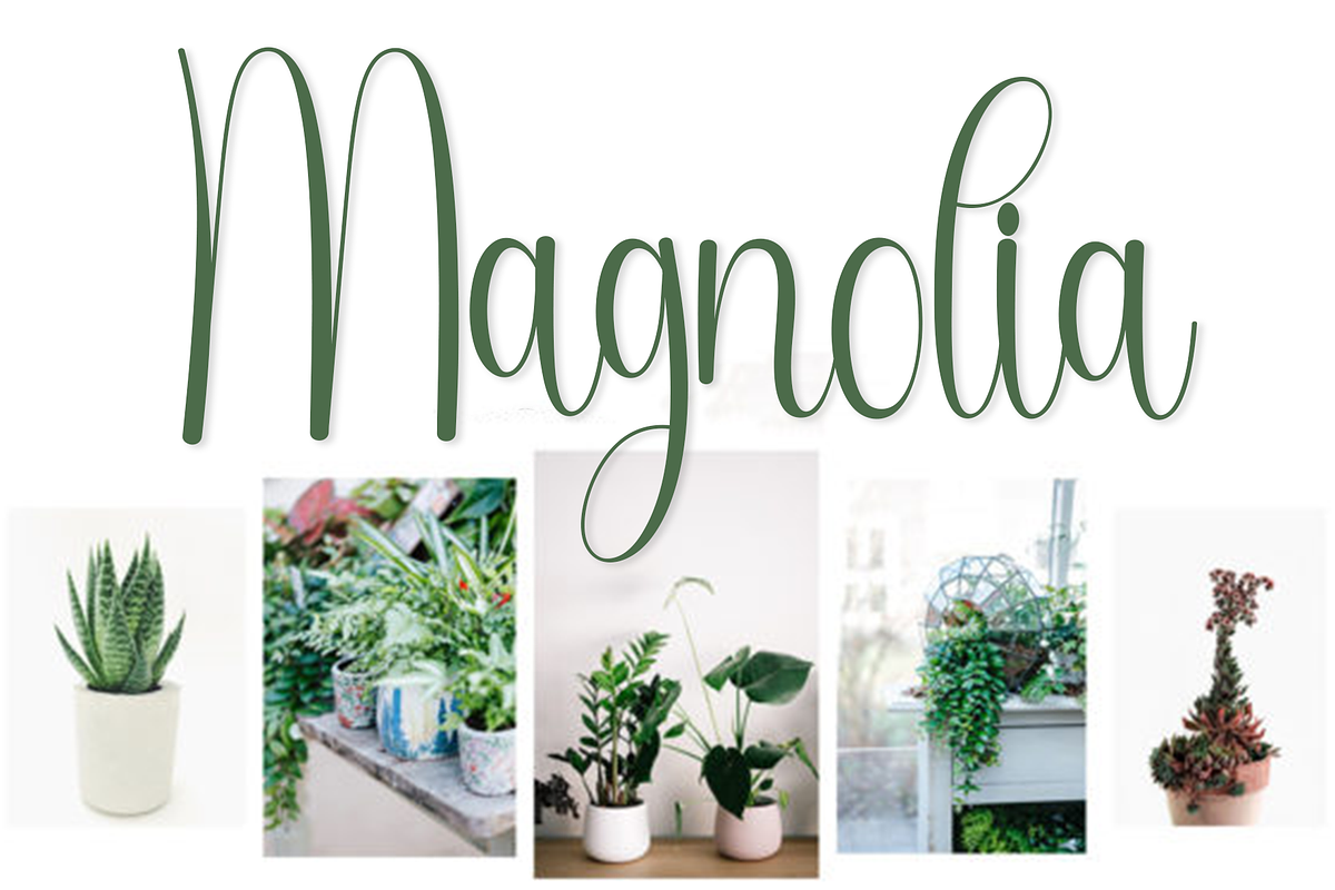 Stylish Signature, a Handwritten Font by FreshTypeINK (Photo 3 of 8)