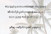 Plumeria Script, a Script Font by Beck McCormick (Thumbnail 5 of 5)